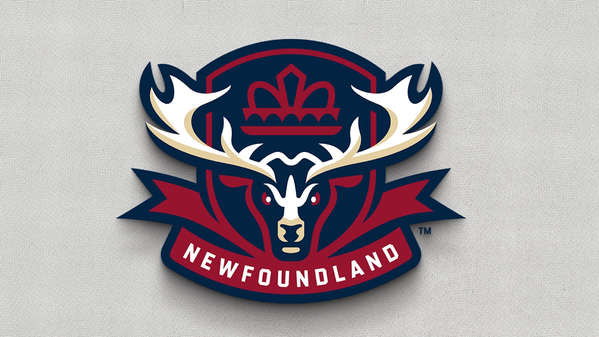 Newfoundland Regiment vs. Saint John Sea Dogs