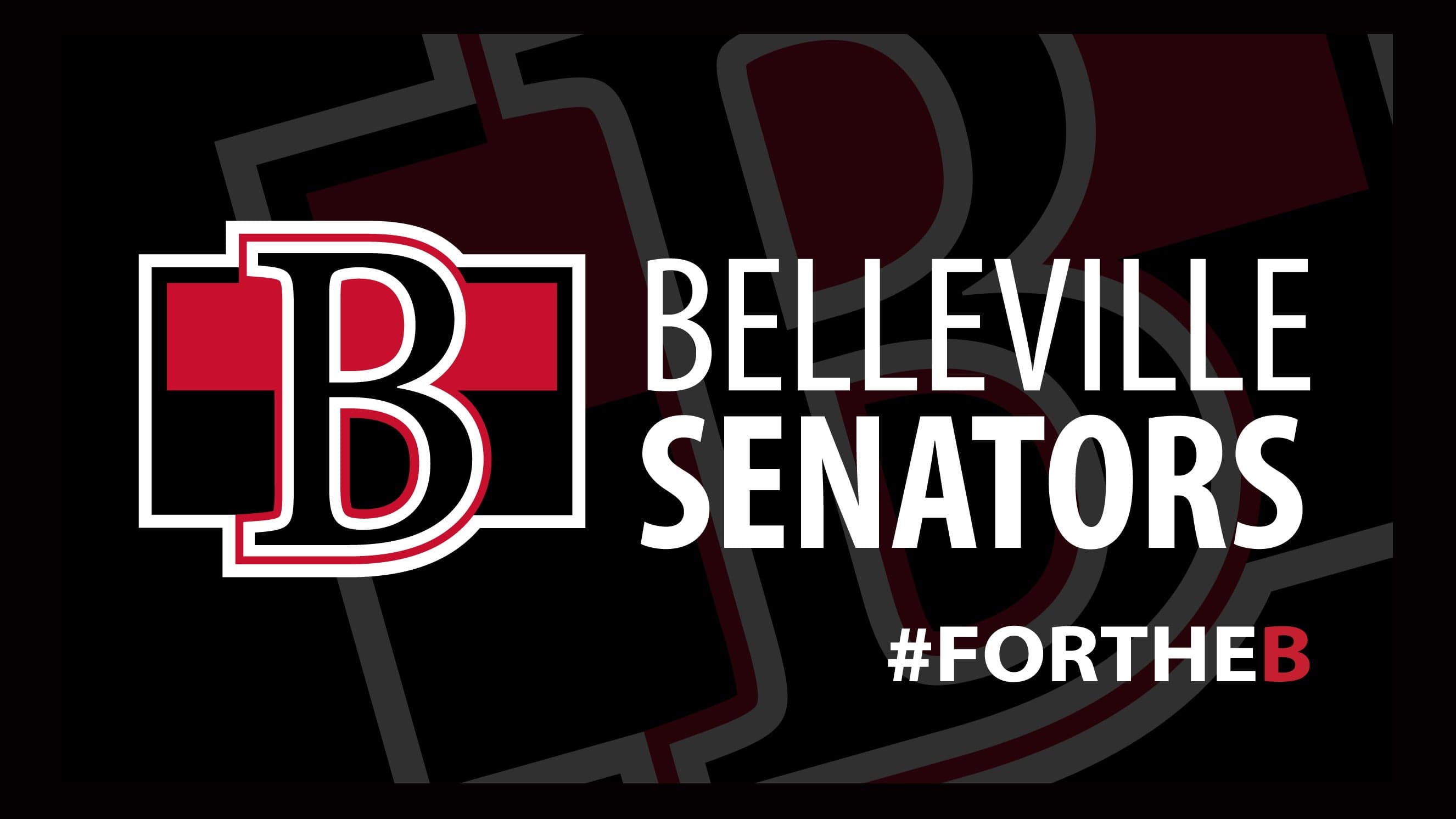 Belleville Senators V Wilkes-Barre Penguins